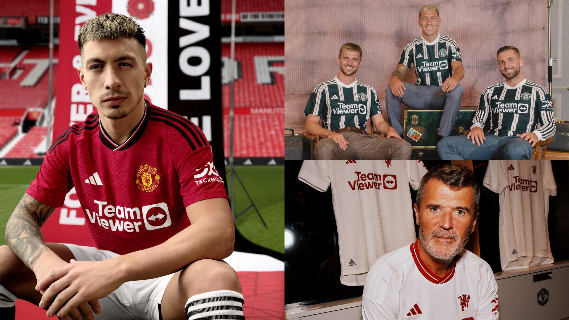 拥有更强的 拥有更强的